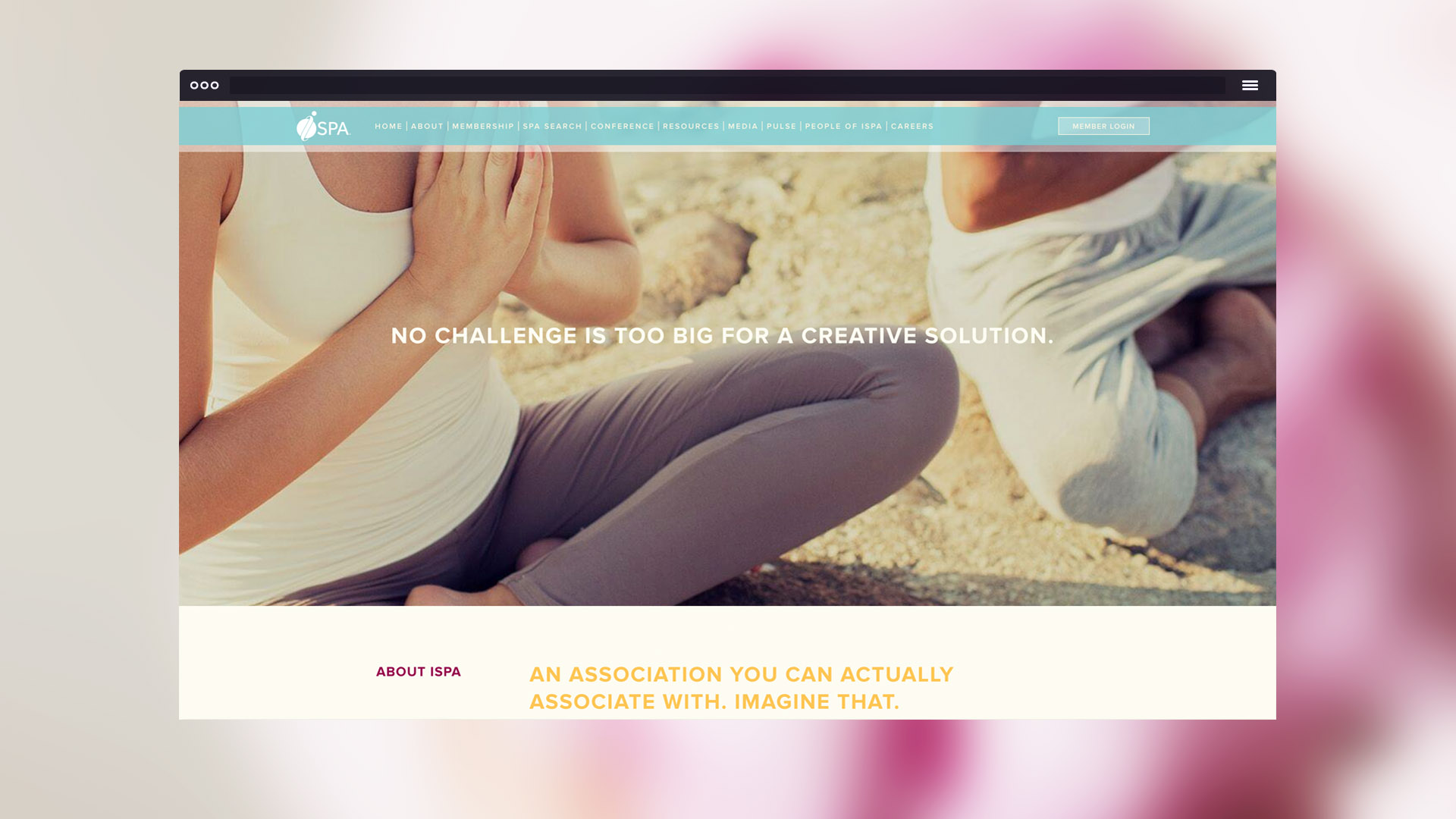 International Spa Association project image