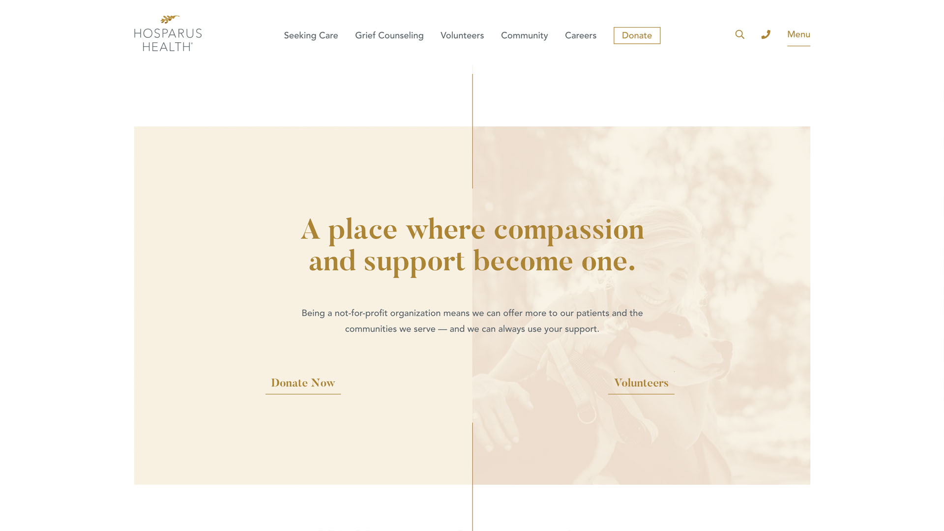 Hosparus Health project image