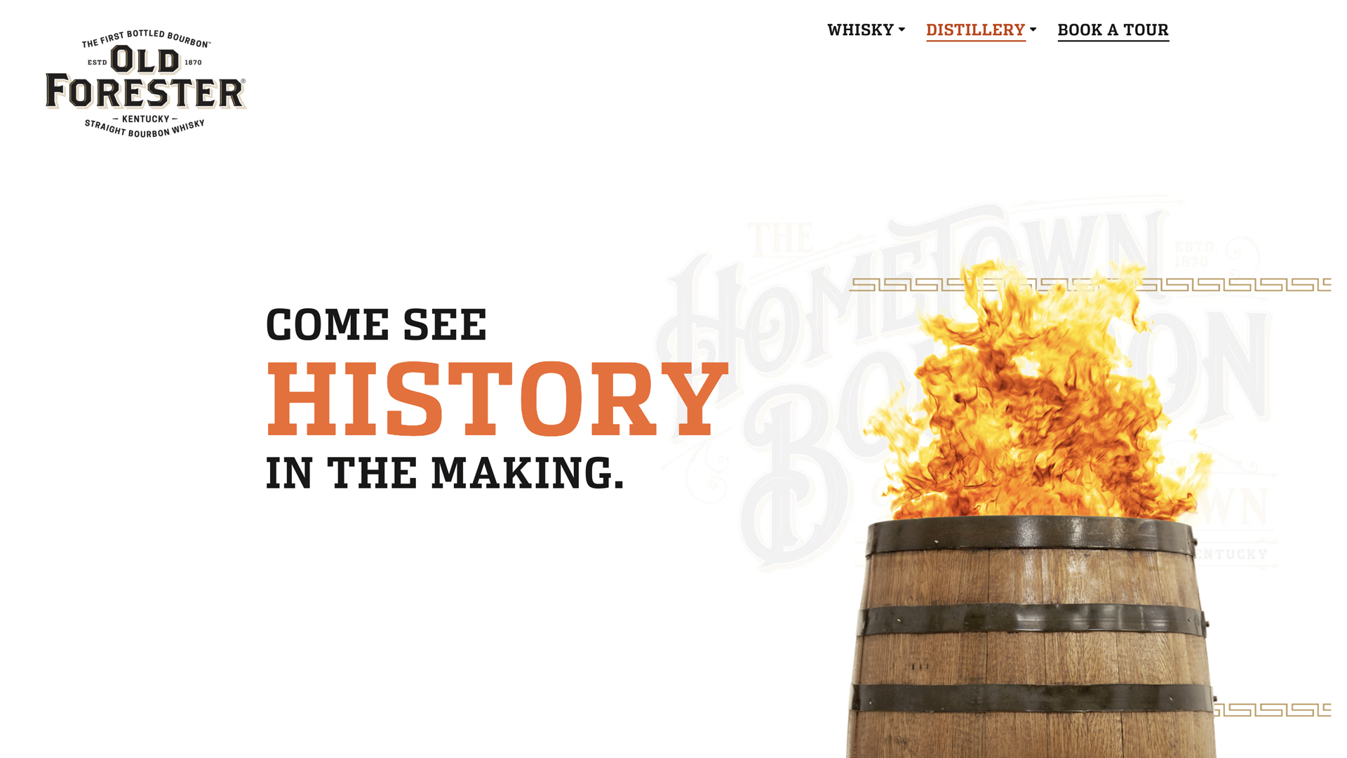 Old Forester project image