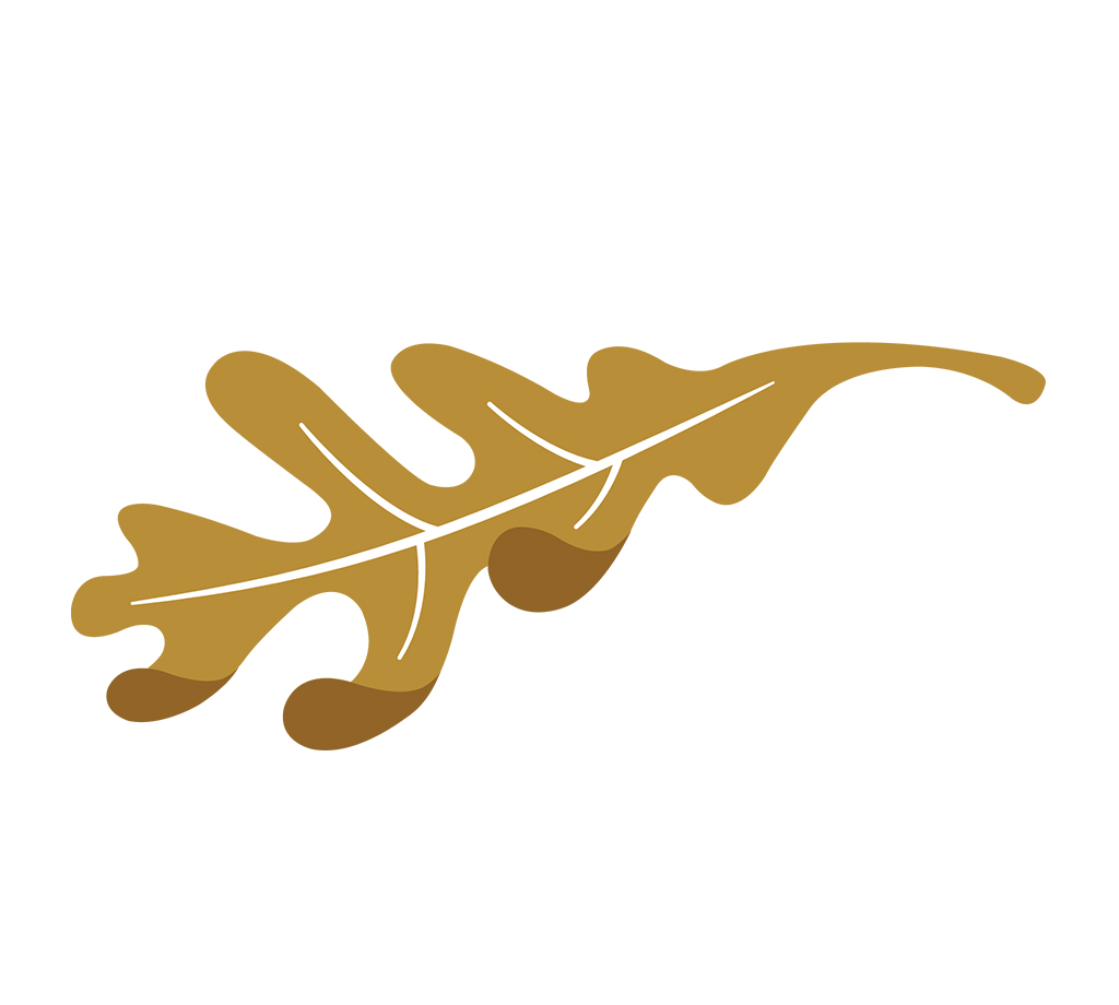 Hosparus Health project image